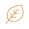Premium Ingredients